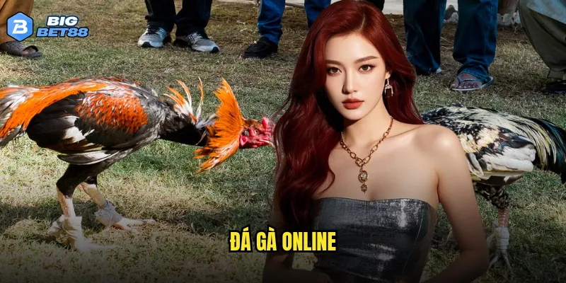đá gà online